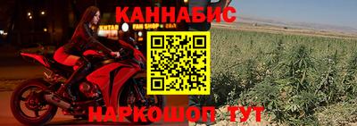 сатива Ставрополь