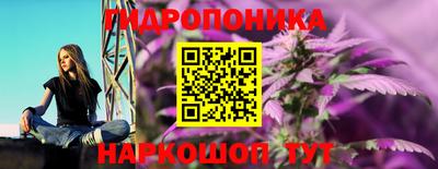 тгк Тверь
