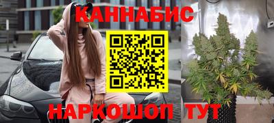 индика Тара