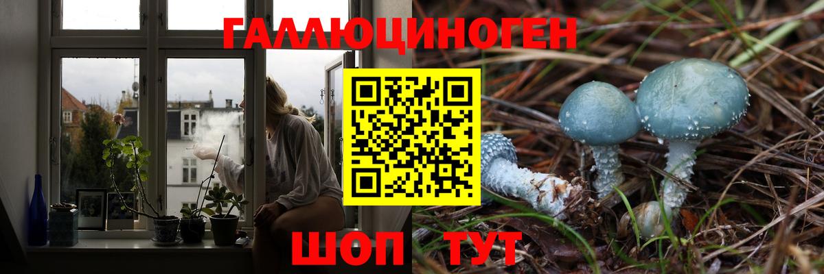 Нарткала  Псилоцибиновые грибы мухоморы  Псилоцибиновые грибы ЛСД  Вход с VPN 